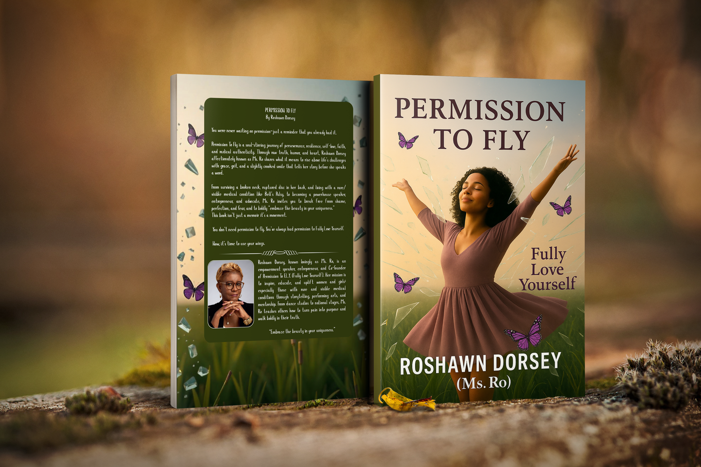 Permission To FLY Book
