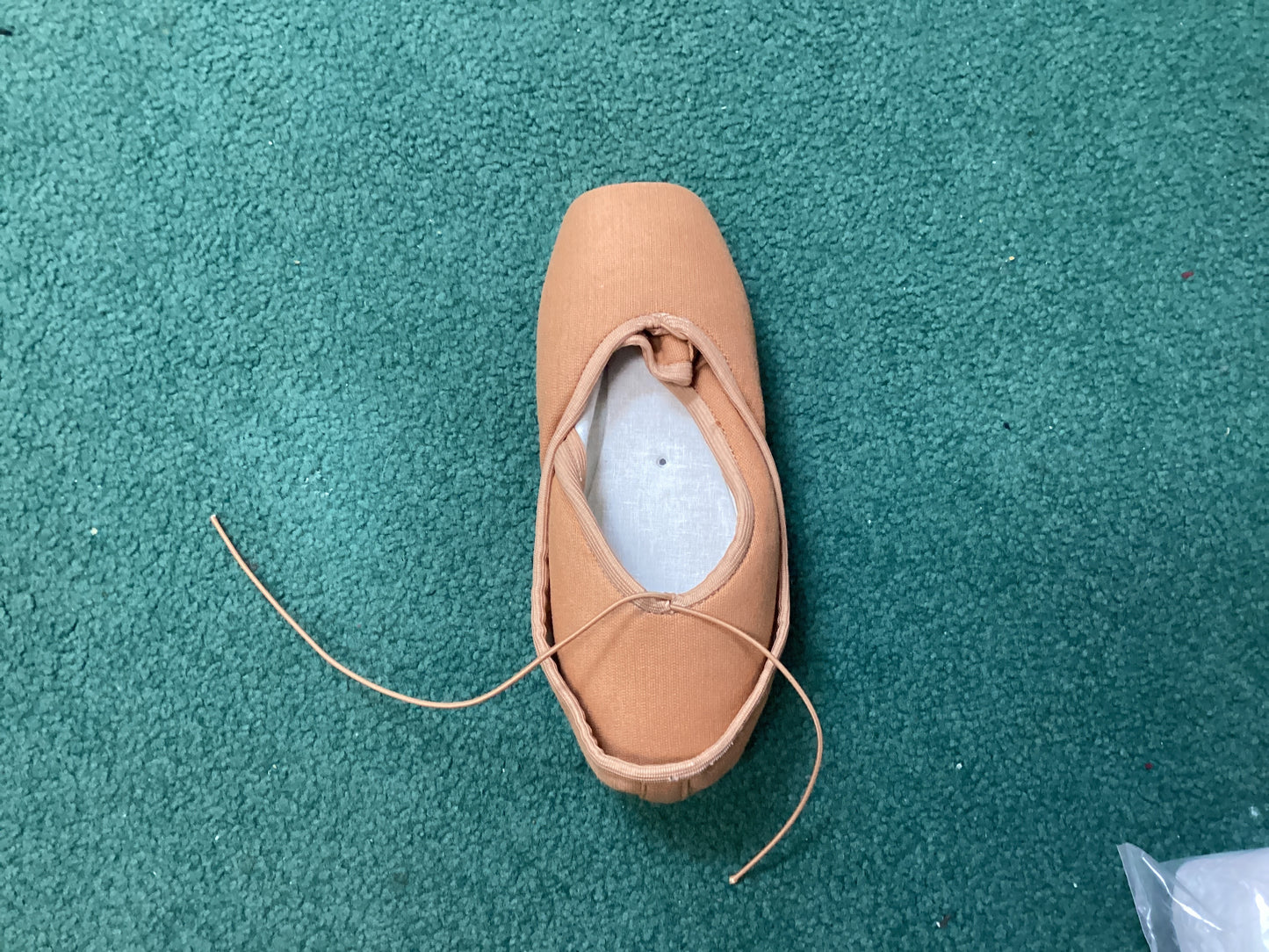 Katya pointe canvas-tan : 4.5